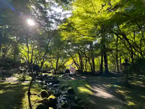 醍醐寺(京都府)