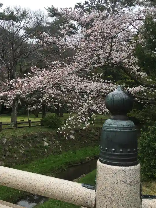 出雲大社の自然