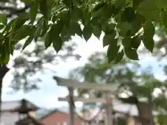 白鳥神社(長野県)