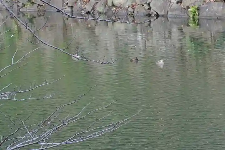 滋賀県護国神社(滋賀県)