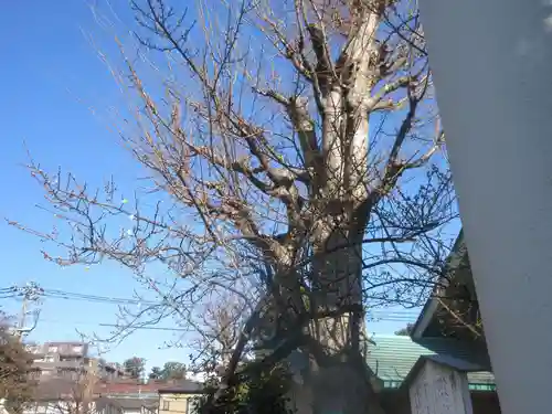 新宿下落合氷川神社(東京都)