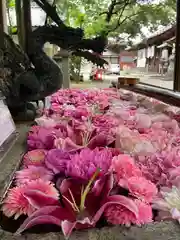 清洲山王宮　日吉神社の手水