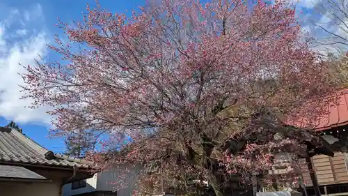 八劒神社の自然