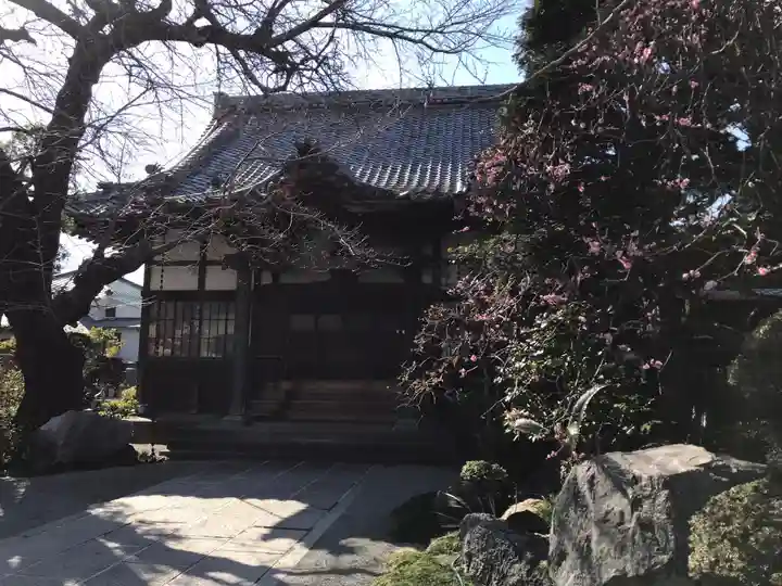 妙経寺の本殿・本堂
