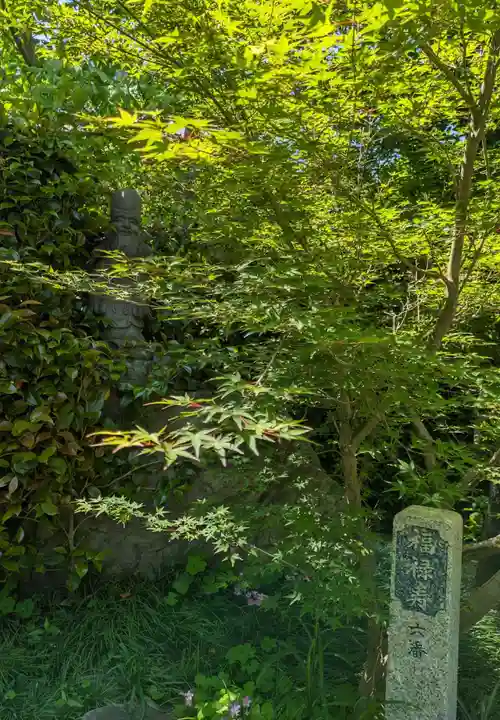 法雲寺(大阪府)