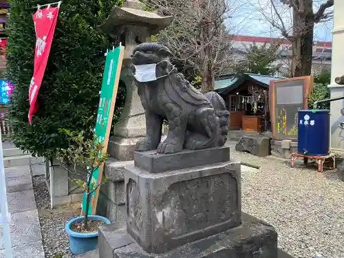 白鬚神社の狛犬