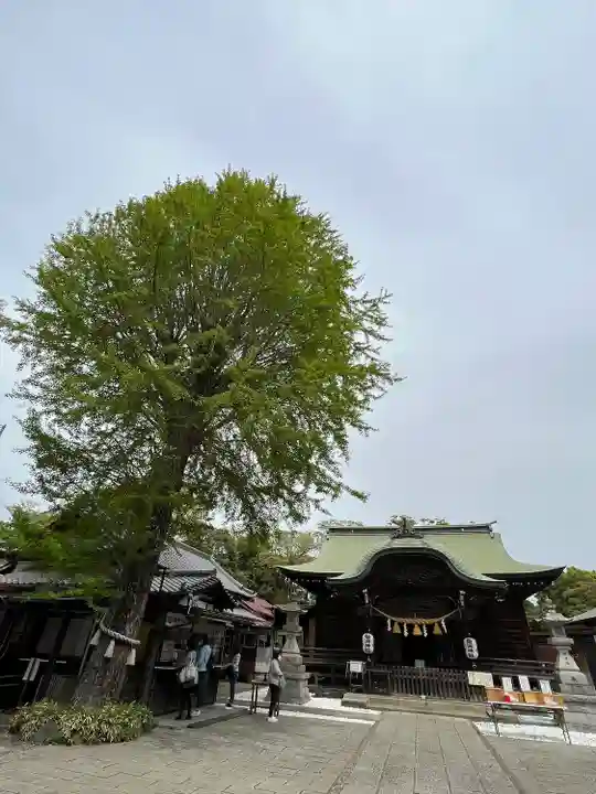 菊田神社の本殿・本堂