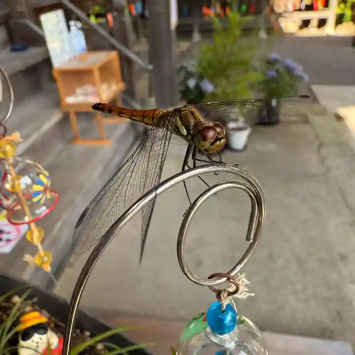 高司神社〜むすびの神の鎮まる社〜(福島県)