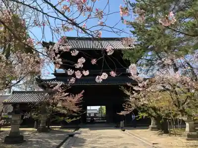 大樹寺(松安院大樹寺)の山門・神門