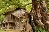 神魂伊能知奴志神社(島根県)