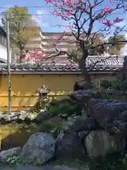 大黒寺(京都府)