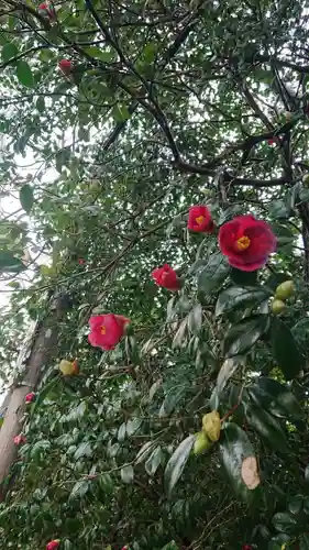 武雄神社の自然