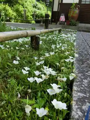 観音寺(京都府)