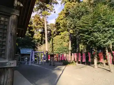 宇都母知神社(神奈川県)