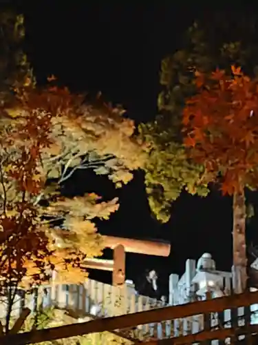 大山阿夫利神社(神奈川県)