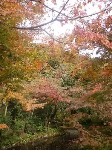 鶴岡八幡宮の自然