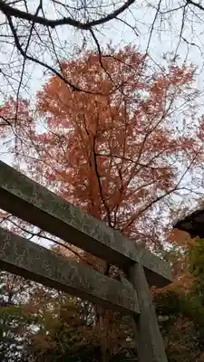伏見神宝神社(京都府)