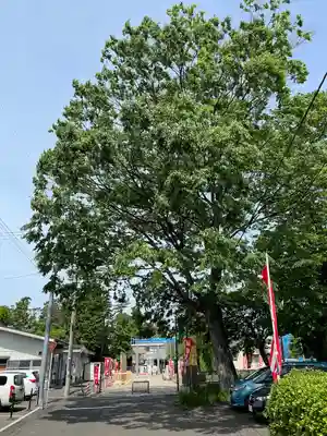 二柱神社(宮城県)