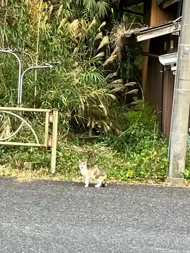 笠森寺(千葉県)