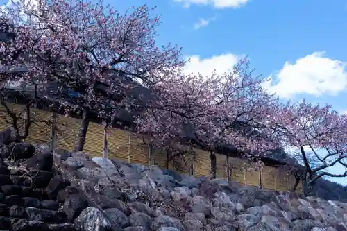 水神(長野県)