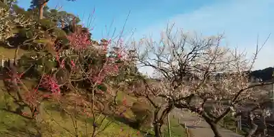 茨城縣護國神社の周辺
