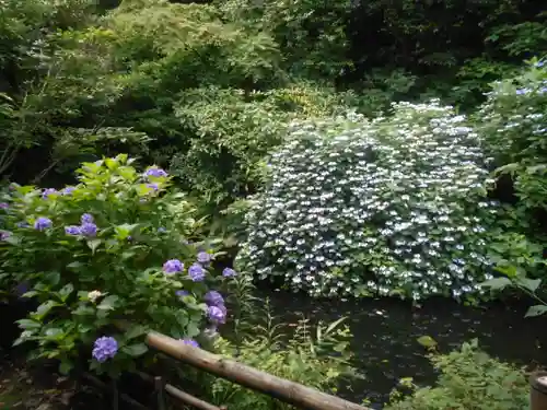 蛇苦止明神（蛇苦止堂）の自然