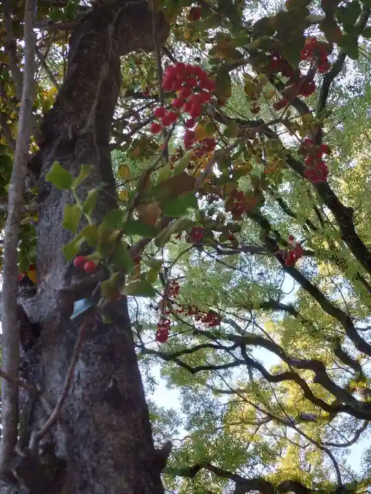 住吉神社(福岡県)