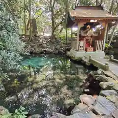 泉神社の建物その他