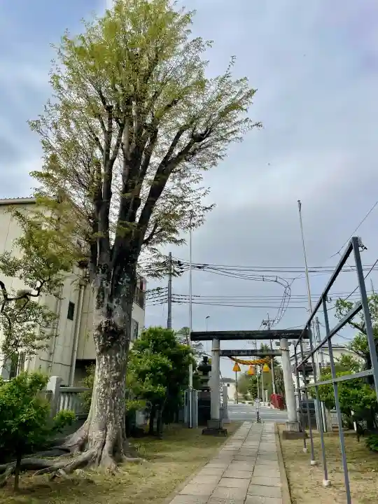 本宿天神社の{uncategorized: "未分類", other: "その他", undefined: "問題あり", building: "その他建物", grave: "お墓", sacred_gate: "鳥居", guardian: "狛犬", statue: "像", buddha: "仏像", history: "歴史", nature: "自然", garden: "庭園", animal: "動物", pagoda: "塔", temizu: "手水舎", mountain_gate: "山門・神門", sanctuary: "本殿・本堂", subordinate: "末社・摂社", art: "芸術", scenery: "景色", jizo: "地蔵", ema: "絵馬", goshuin: "御朱印", omikuji: "おみくじ", items: "授与品その他", amulet: "お守り", goshuincho: "御朱印帳", eats: "食事", festival: "お祭り", votive_dance: "神楽", shichigosan: "七五三参", wedding: "結婚式", experience: "体験その他", initially: "初詣", around: "周辺", anti_infection: "感染症対策"}