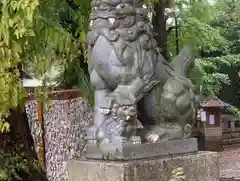 岩槻久伊豆神社の狛犬