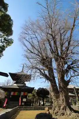 鑁阿寺(栃木県)