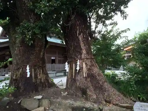 風治八幡宮(福岡県)
