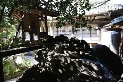 白蛇辨財天(栃木県)