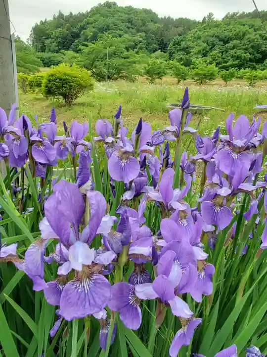 高司神社〜むすびの神の鎮まる社〜(福島県)