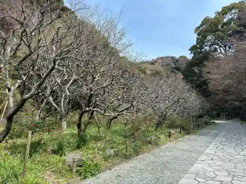 瑞泉寺の{uncategorized: "未分類", other: "その他", undefined: "問題あり", building: "その他建物", grave: "お墓", sacred_gate: "鳥居", guardian: "狛犬", statue: "像", buddha: "仏像", history: "歴史", nature: "自然", garden: "庭園", animal: "動物", pagoda: "塔", temizu: "手水舎", mountain_gate: "山門・神門", sanctuary: "本殿・本堂", subordinate: "末社・摂社", art: "芸術", scenery: "景色", jizo: "地蔵", ema: "絵馬", goshuin: "御朱印", omikuji: "おみくじ", items: "授与品その他", amulet: "お守り", goshuincho: "御朱印帳", eats: "食事", festival: "お祭り", votive_dance: "神楽", shichigosan: "七五三参", wedding: "結婚式", experience: "体験その他", initially: "初詣", around: "周辺", anti_infection: "感染症対策"}