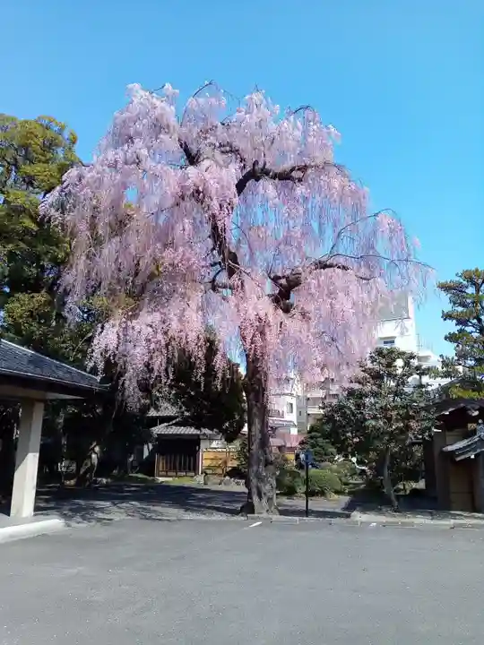 道仁寺(宮城県)