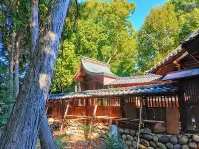 八所神社(八所社)の本殿・本堂