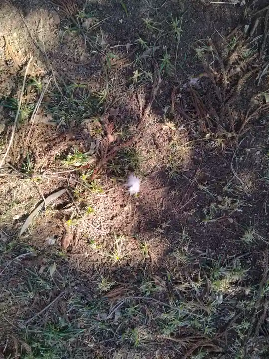 八雲神社(手代木)(宮城県)