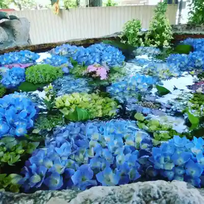 立志神社の手水舎