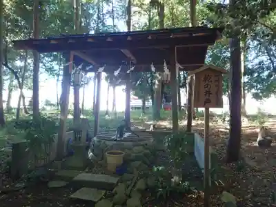 秩父神社の手水舎