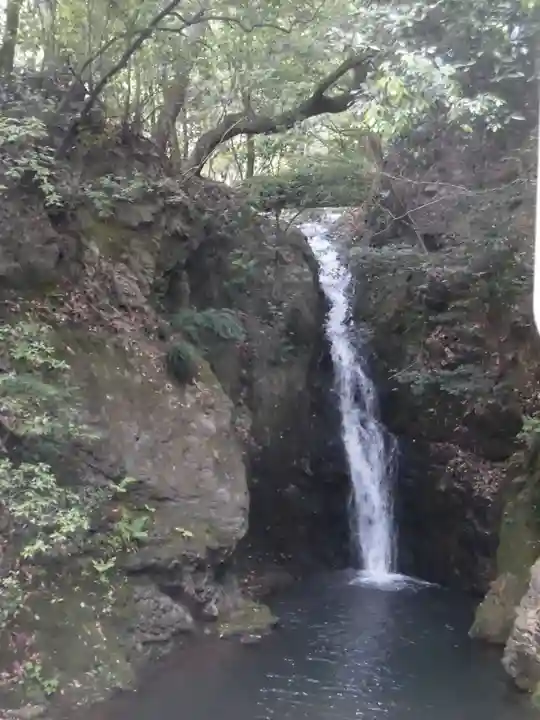 清荒神清澄寺の自然