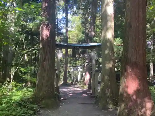 十和田神社の鳥居