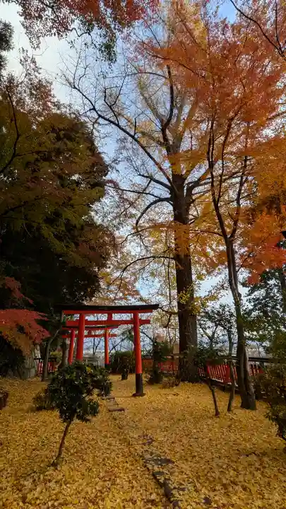 観音寺(山崎聖天)(京都府)