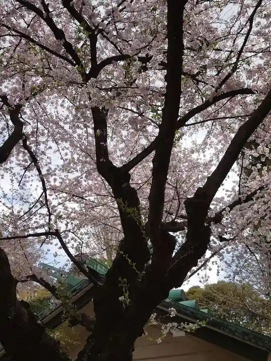 駒込天祖神社の自然
