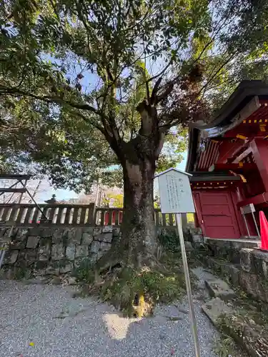 一之宮貫前神社(群馬県)