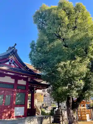 大森神社(東京都)
