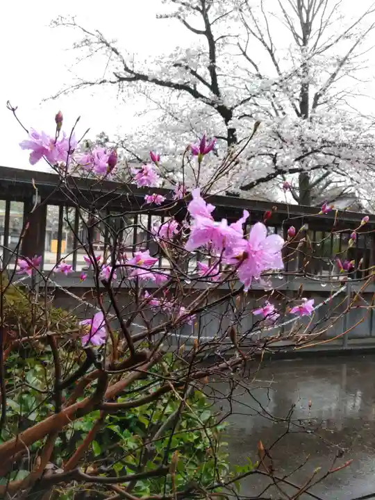 諏訪神社の周辺