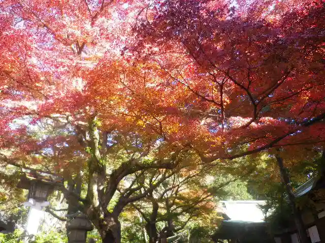 鎌倉宮のその他建物