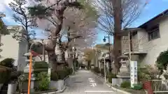 石神井氷川神社(東京都)