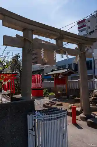 赤手拭稲荷神社の鳥居